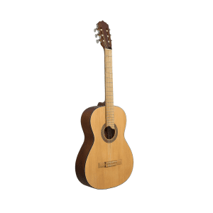 guitarra el arca